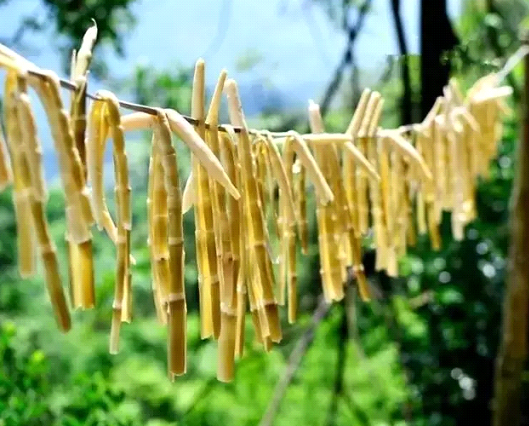 吃春筍，不可辜負(fù)的至鮮皖味